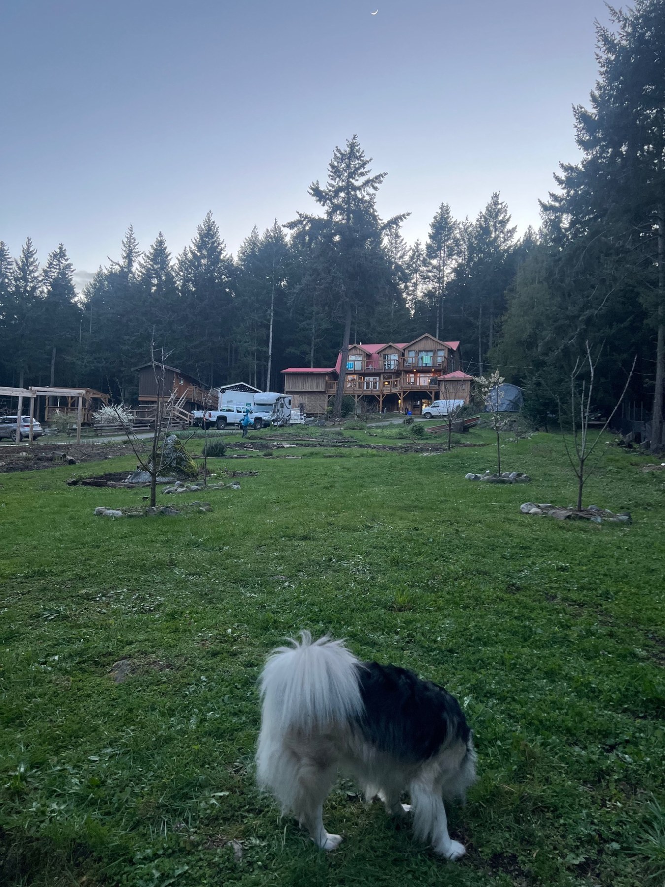 Galiano Islandで滞在した森の中の場所